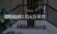 清朝巅峰1316万平方公里，我们接手960万，还有356万在哪些国家呢